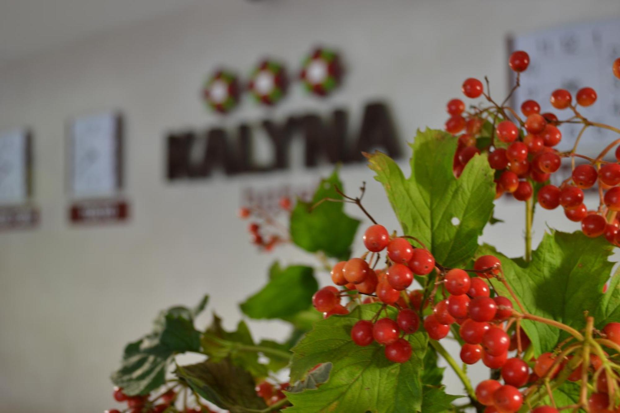 Hotel Kalyna Harkov Kültér fotó